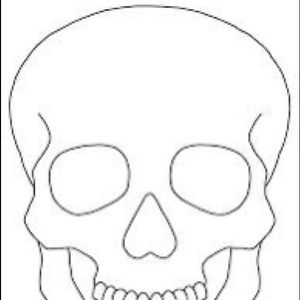 Meet your Posher, Lilly